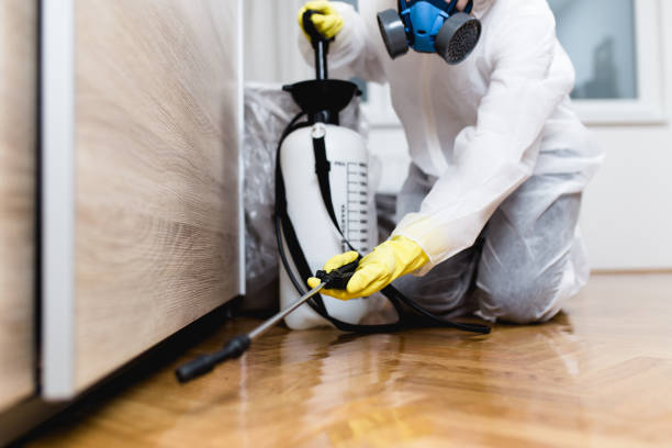Best Rat Extermination Near Me  in Lansdowne, VA