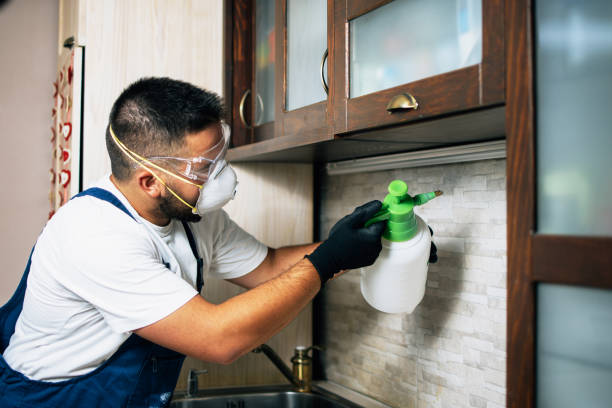 Best Pest Removal Services  in Lansdowne, VA