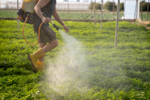 Reliable Lansdowne, VA Pest Control Solutions