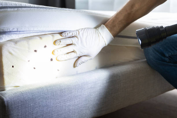 Best Affordable Pest Control Services  in Lansdowne, VA