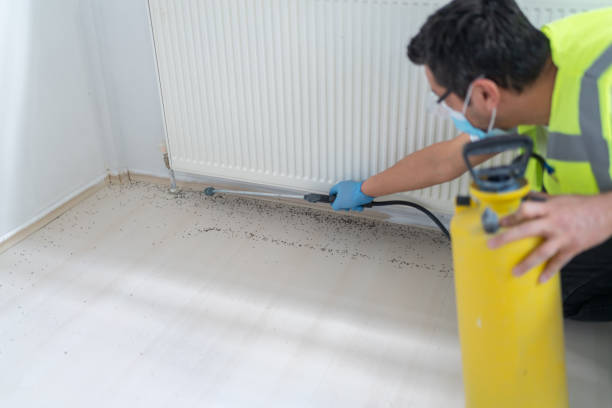 Best Pest Inspection Near Me  in Lansdowne, VA