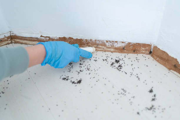 Best Residential Pest Control  in Lansdowne, VA